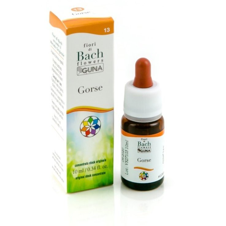 BACHFLOWERS 13 Gorse 10ml BACHFLOWERS 13 Gorse 10ml
