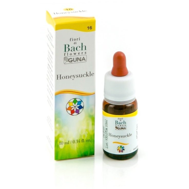 BACHFLOWERS 16 Honeysuckle10ml BACHFLOWERS 16 Honeysuckle10ml