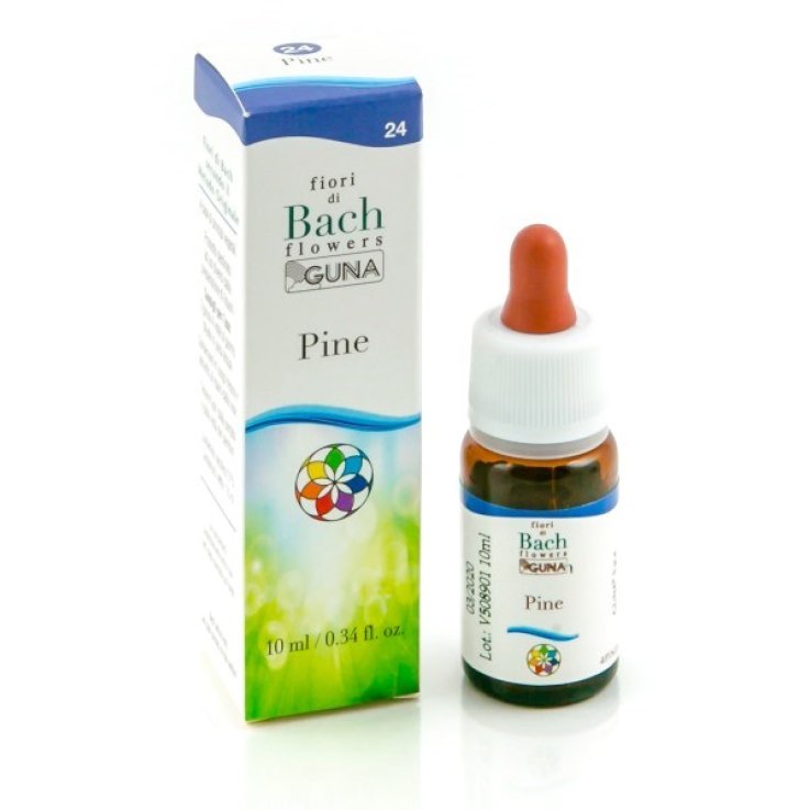 BACHFLOWERS 24 Pine 10ml BACHFLOWERS 24 Pine 10ml
