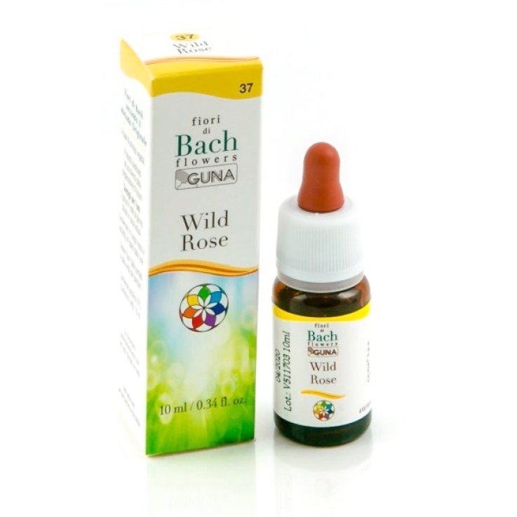 BACHFLOWERS 37 Wild Rose 10ml BACHFLOWERS 37 Wild Rose 10ml