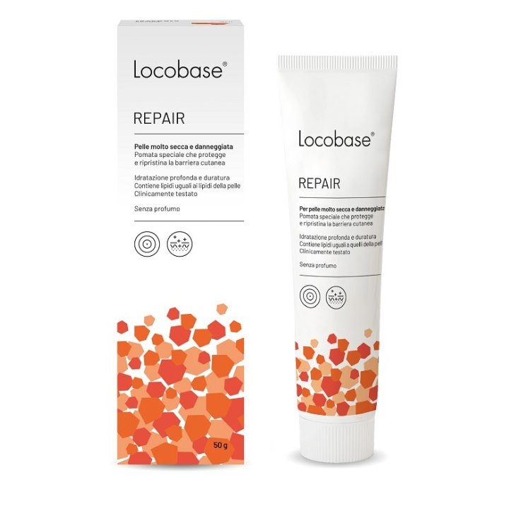 LOCOBASE Repair Crema 50g LOCOBASE Repair Crema 50g