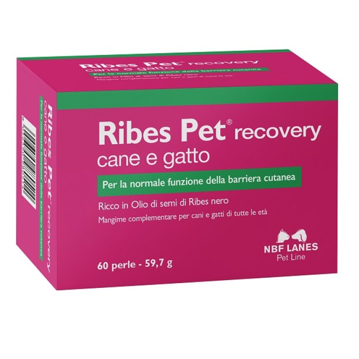 RIBES PET Recovery 60 Perle RIBES PET Recovery 60 Perle