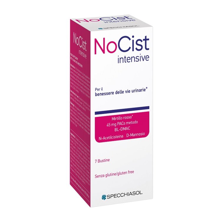 NOCIST Intensive 7 Bust. NOCIST Intensive 7 Bust.