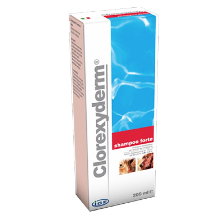 CLOREXYDERM Shampoo Fte 200ml CLOREXYDERM Shampoo Fte 200ml