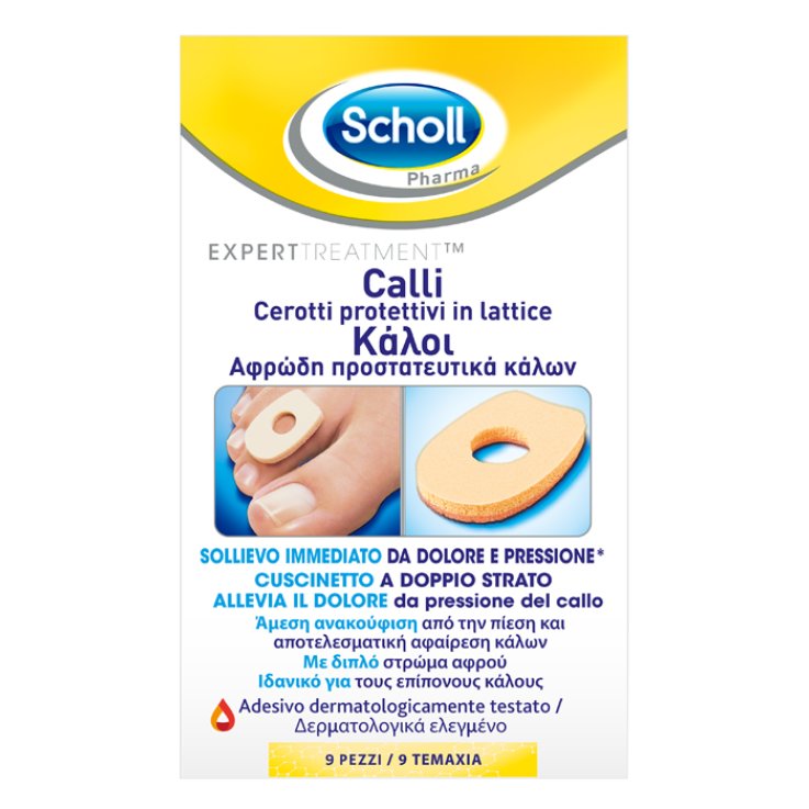 SCHOLL Cer.Pr.Latt.Calli Scudo SCHOLL Cer.Pr.Latt.Calli Scudo