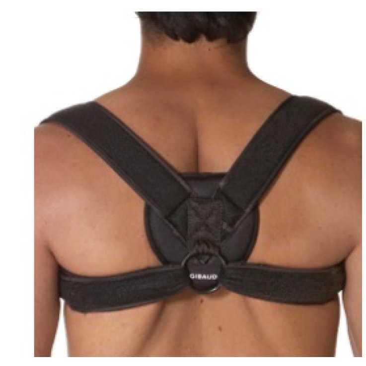 GIBAUD-ORT.Bl.Clavicola Unica GIBAUD-ORT.Bl.Clavicola Unica
