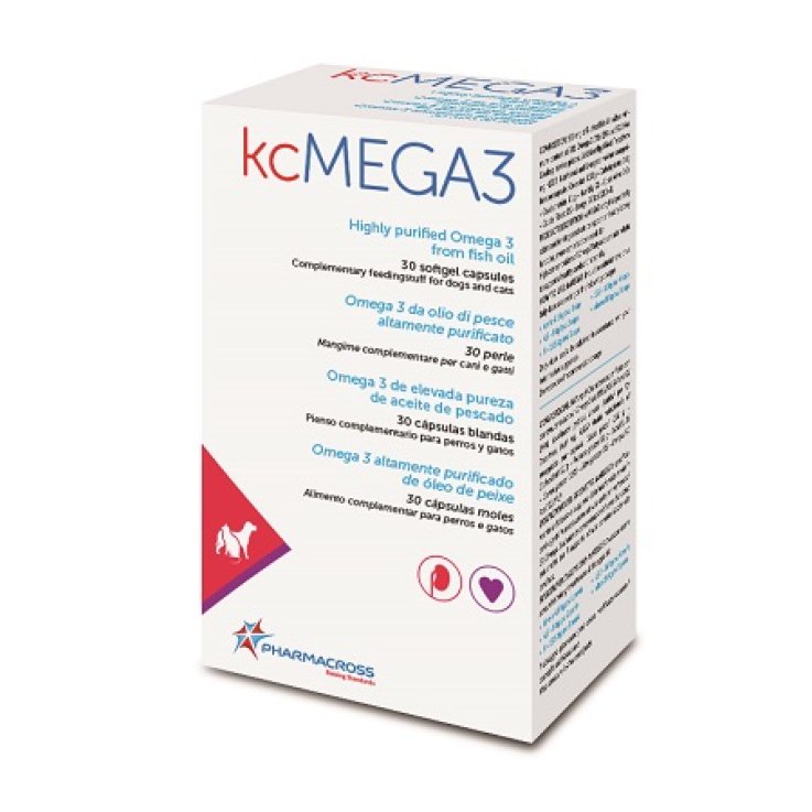 KCMEGA3 30 Perle KCMEGA3 30 Perle