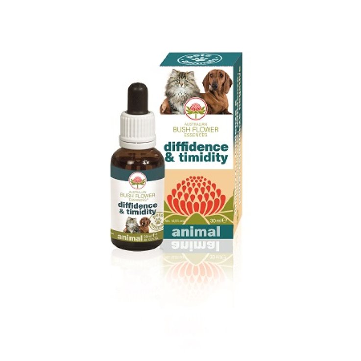 DIFFIDENCE&TIMIDITY 30ml DIFFIDENCE&TIMIDITY 30ml