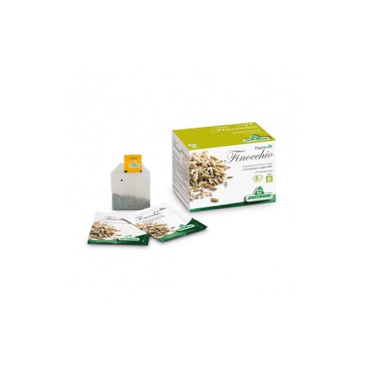 INFUSO Finocchio 20 Bust.SPECC INFUSO Finocchio 20 Bust.SPECC