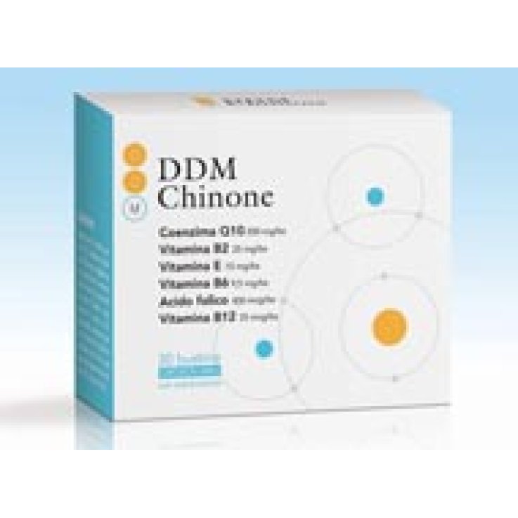 DDM Chinone 30 Bust. DDM Chinone 30 Bust.