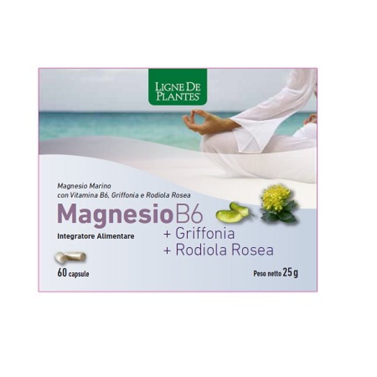 MAGNESIO.B6+GRIFF.60 Cps NSE MAGNESIO.B6+GRIFF.60 Cps NSE