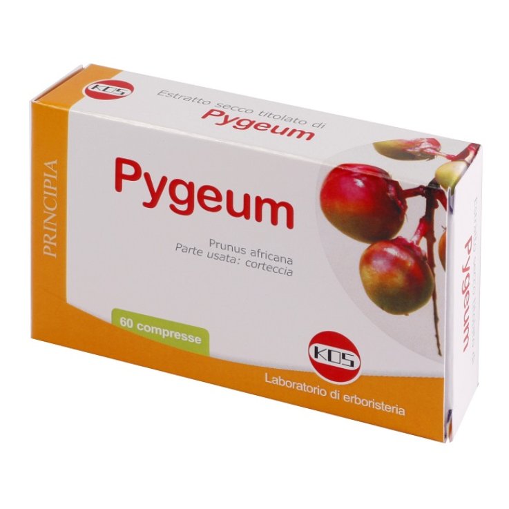 PYGEUM Estr.Secco 60 Cpr KOS PYGEUM Estr.Secco 60 Cpr KOS