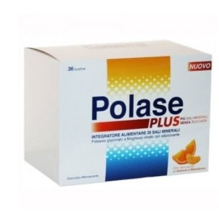 POLASE Plus 36 Buste S/Z POLASE Plus 36 Buste S/Z