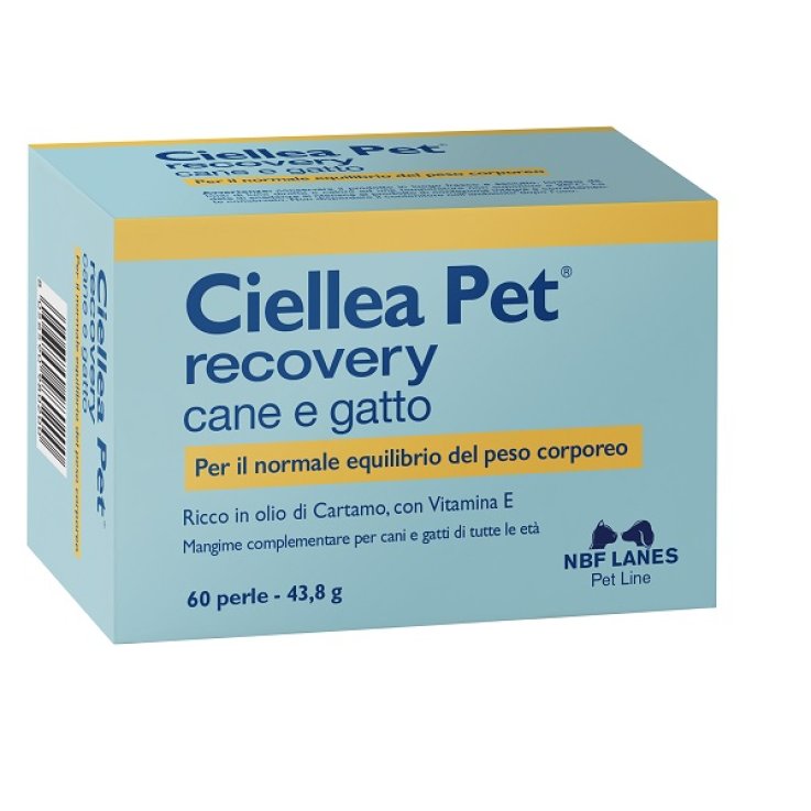 CIELLEA Pet 60 Perle CIELLEA Pet 60 Perle