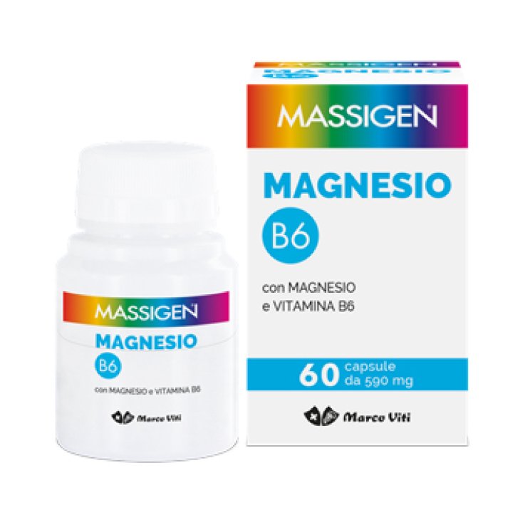 MASSIGEN MG B6 60 Cps MASSIGEN MG B6 60 Cps