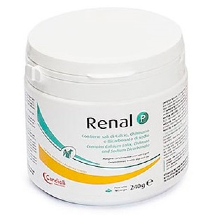 RENAL P Polv.Cani&Gatti 240g