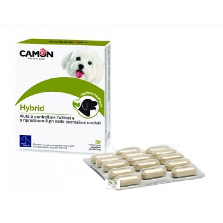 HYBRID 30 Cpr HYBRID 30 Cpr