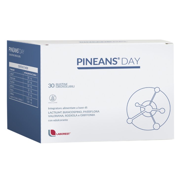 PINEANS Day 30 Bust. PINEANS Day 30 Bust.
