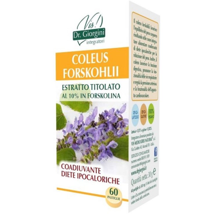 COLEUS FOR E.T.60 Past.SVS COLEUS FOR E.T.60 Past.SVS