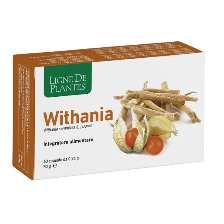WITHANIA 60 Cps NSE