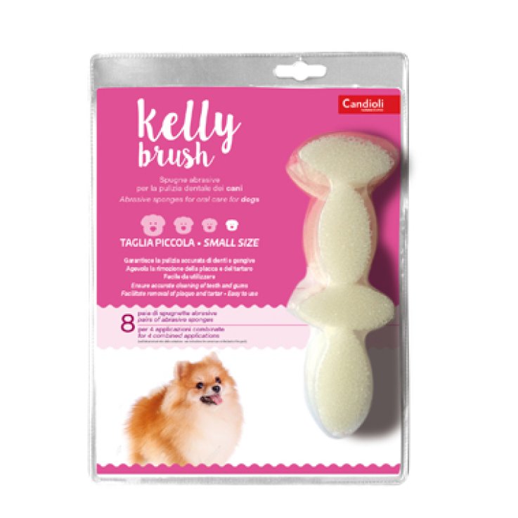 KELLY BRUSH Spugnetta Pic.16pz KELLY BRUSH Spugnetta Pic.16pz