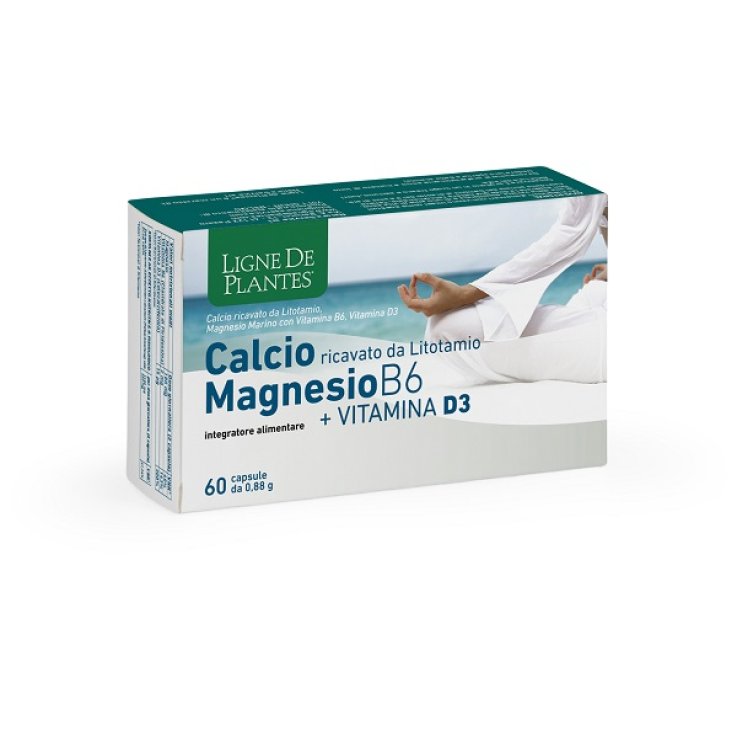 CALCIO/MG B6+Vit.D3 60 Cps NSE CALCIO/MG B6+Vit.D3 60 Cps NSE