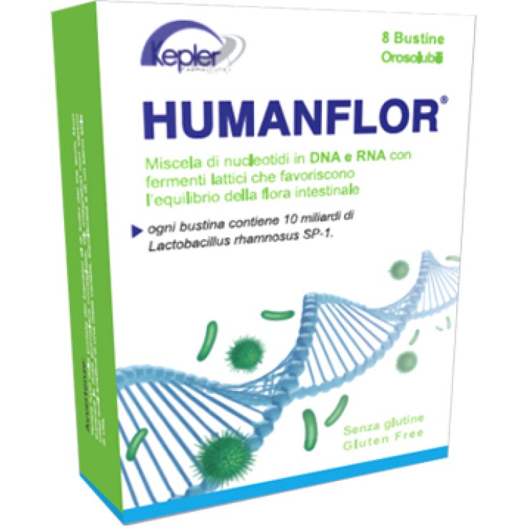 HUMANFLOR 8 Bust.1g HUMANFLOR 8 Bust.1g