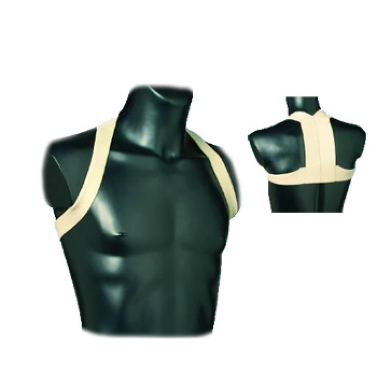 RADDRIZZASPALLE Mod.Otto L F/C RADDRIZZASPALLE Mod.Otto L F/C