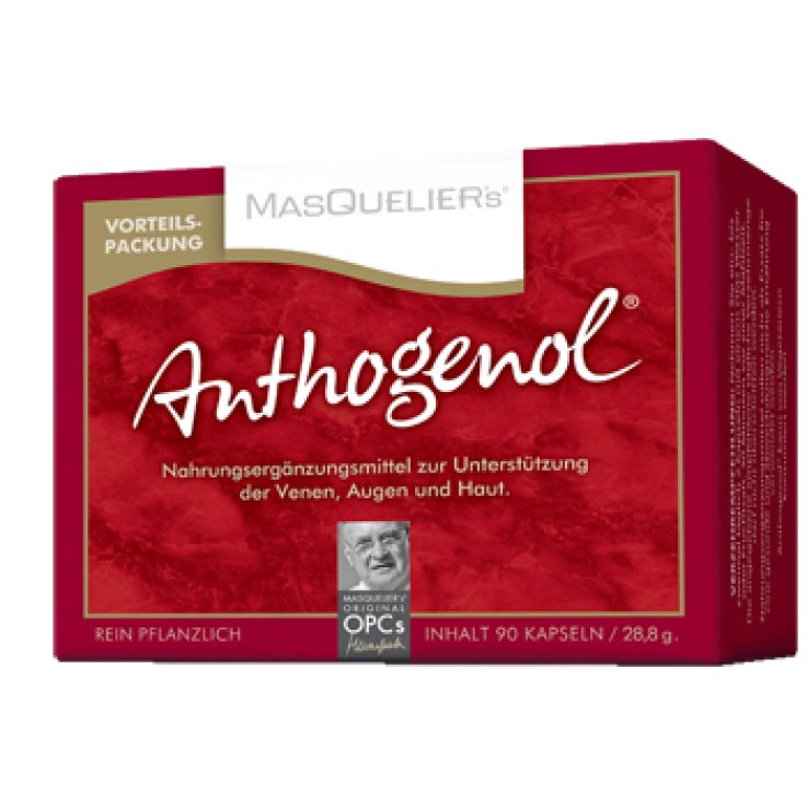 MASQUELIERS ANTHOGENOL 90 Cps MASQUELIERS ANTHOGENOL 90 Cps