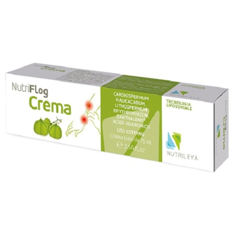 NUTRIFLOG Lipo A-Inf/Prur.75g NUTRIFLOG Lipo A-Inf/Prur.75g