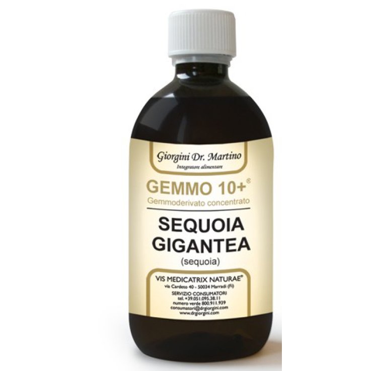 SEQUOIA Analc.Gemmo 10+500ml SEQUOIA Analc.Gemmo 10+500ml