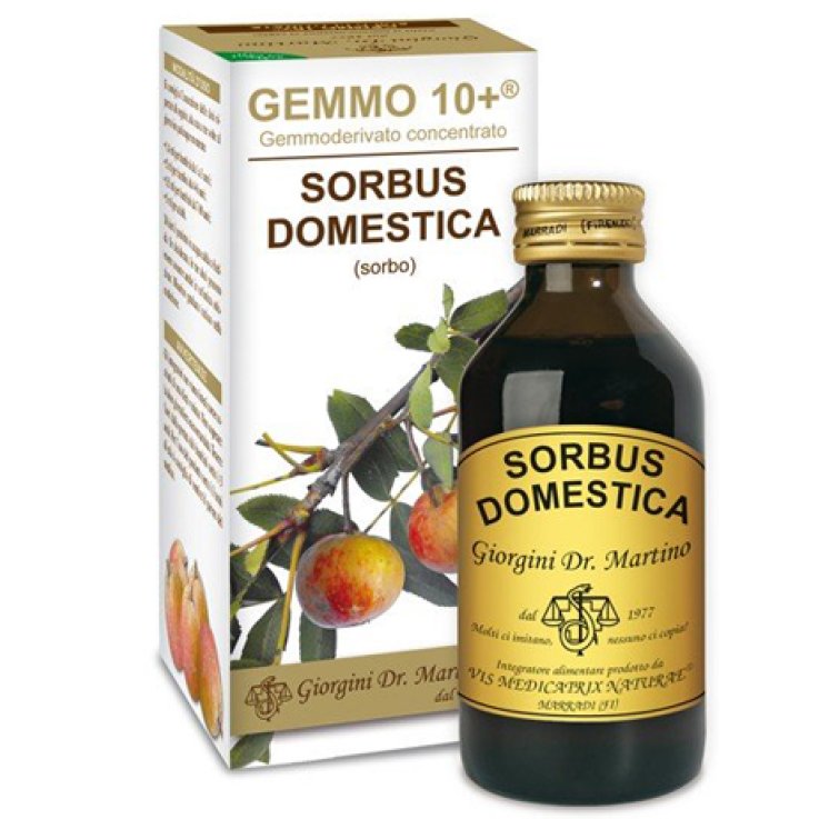 SORBO ANALCO GEMMO 10+ 100 ML SORBO ANALCO GEMMO 10+ 100 ML