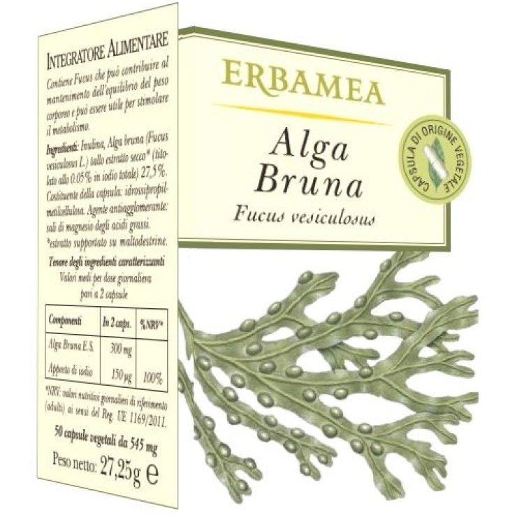 ALGA BRUNA 50 OPERCOLI ALGA BRUNA 50 OPERCOLI