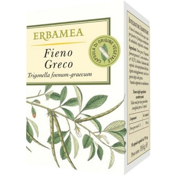 FIENO GRECO 50 OPERCOLI FIENO GRECO 50 OPERCOLI