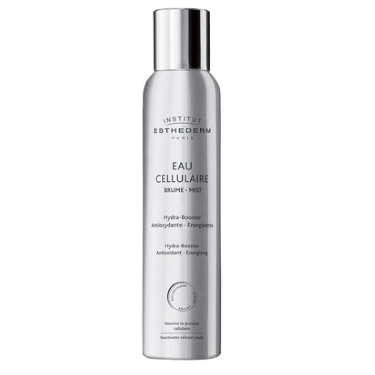 INSTI EAU CELLULAIRE BRUME 200 ML INSTI EAU CELLULAIRE BRUME 200 ML