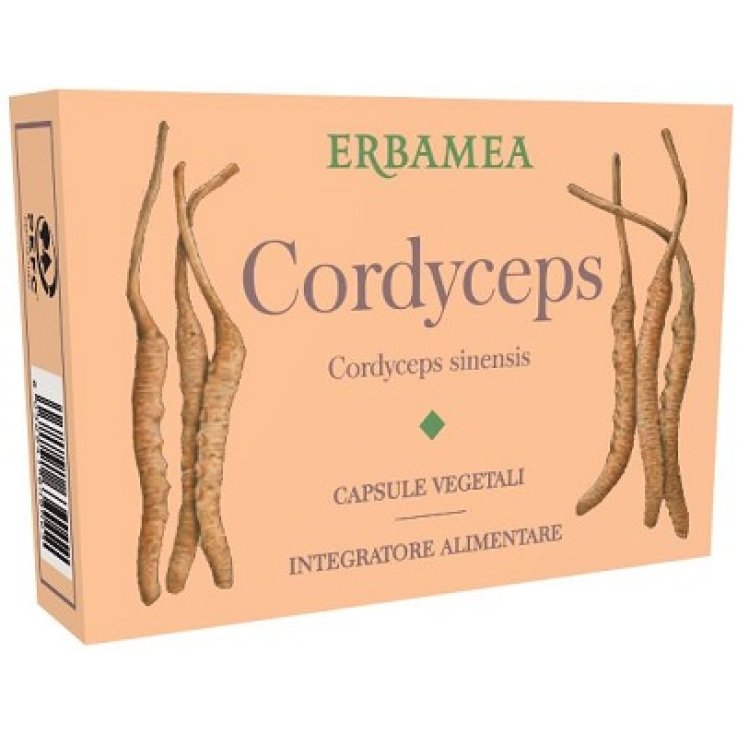 CORDYCEPS 24 Cps Veg.EBM CORDYCEPS 24 Cps Veg.EBM