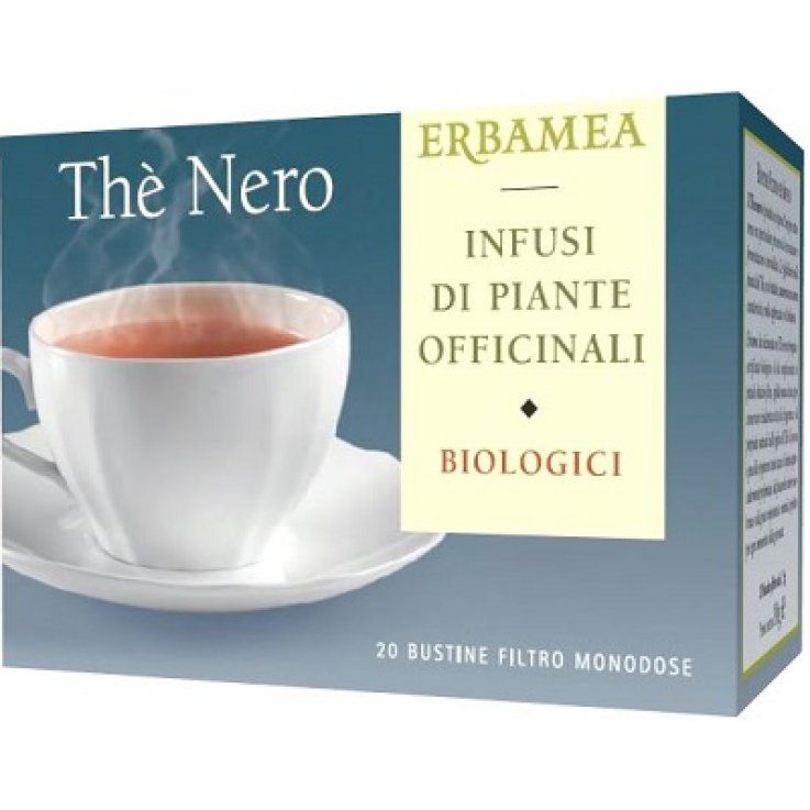 THE Nero Bust.Filtro EBM THE Nero Bust.Filtro EBM