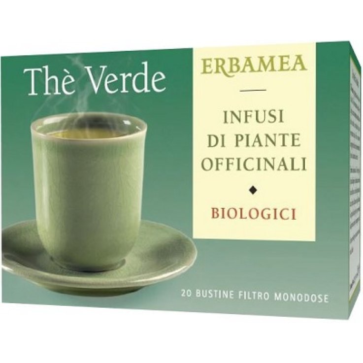 THE VERDE 20BUST FILTRO THE VERDE 20BUST FILTRO