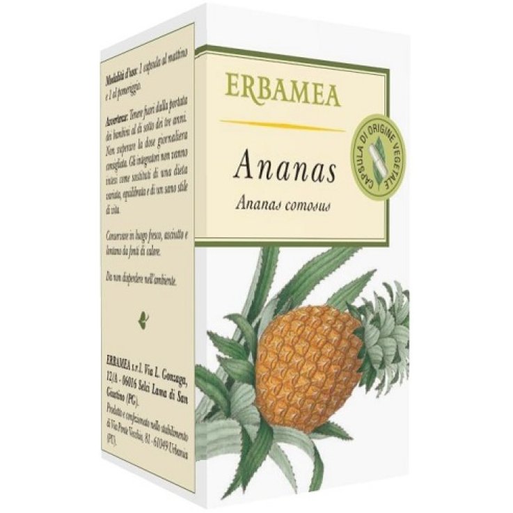 ANANAS 50OPR EBM ANANAS 50OPR EBM