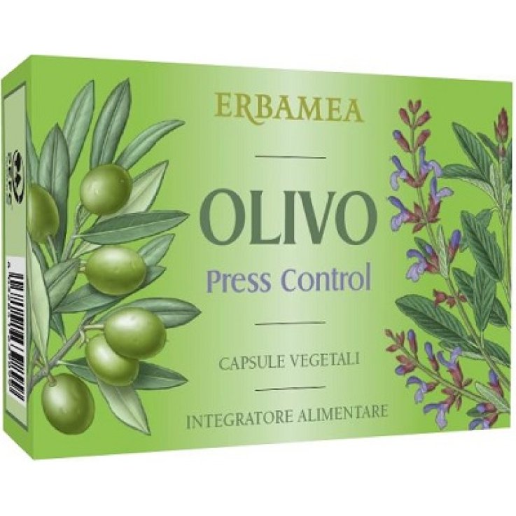OLIVO Press Control 36 Cps EBM OLIVO Press Control 36 Cps EBM