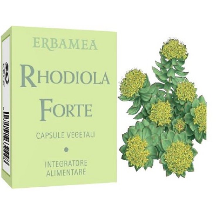 RHODIOLA Forte 24 Cps EBM RHODIOLA Forte 24 Cps EBM