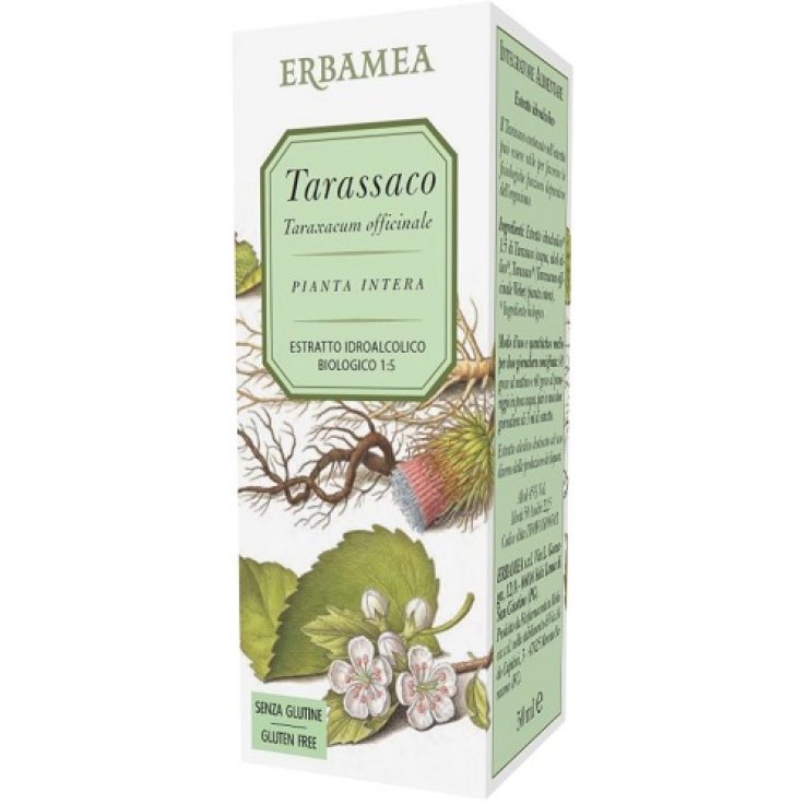 TARASSACO ESTRATTO IDROALCOLICO 50 ML TARASSACO ESTRATTO IDROALCOLICO 50 ML