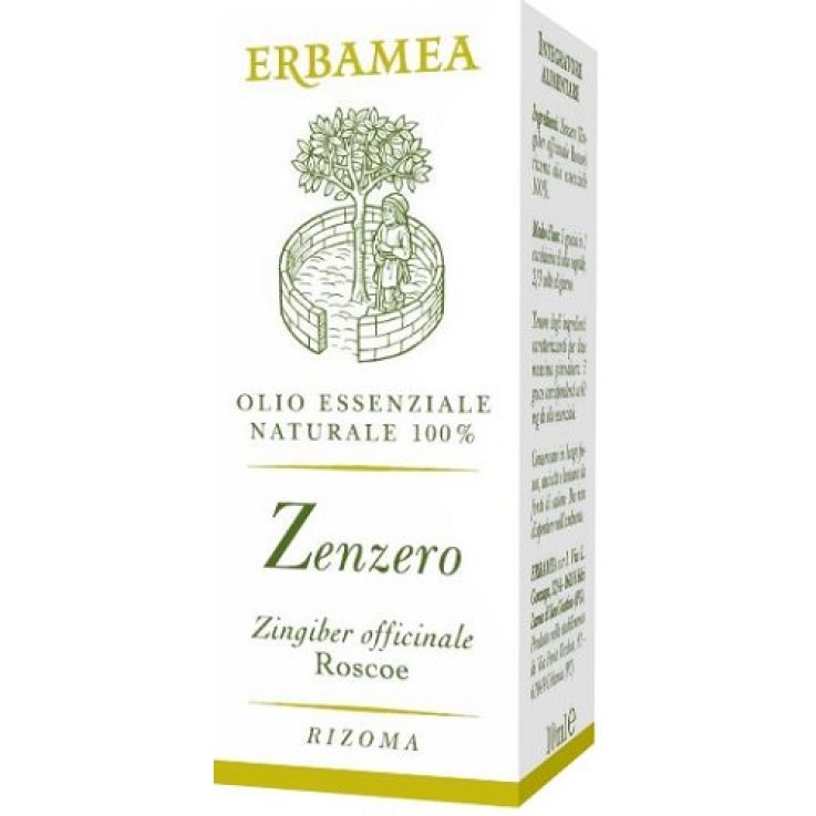 ZENZERO 10 ML ZENZERO 10 ML