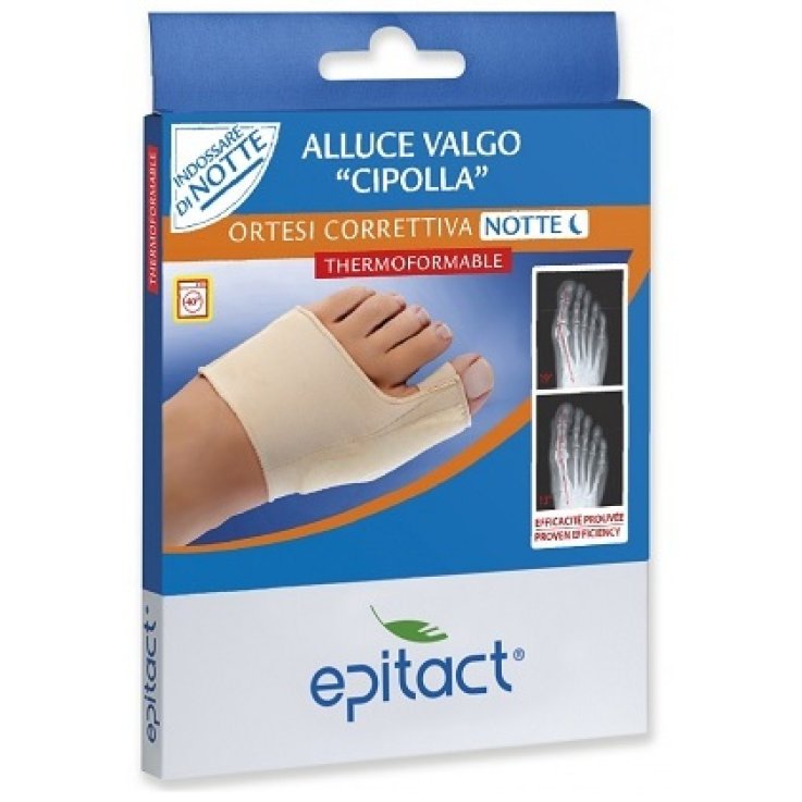 EPITACT Ort.Corr.A-Valgo Ntt L EPITACT Ort.Corr.A-Valgo Ntt L