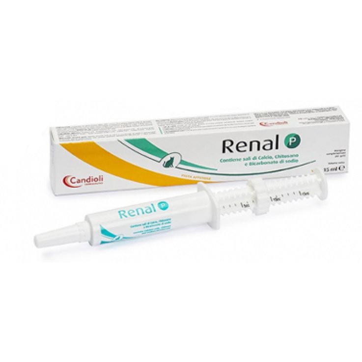 RENAL P Pasta 15ml RENAL P Pasta 15ml