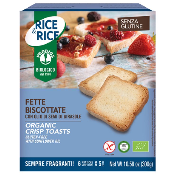 R&R Fette Bisc.Olio Semi Giras R&R Fette Bisc.Olio Semi Giras