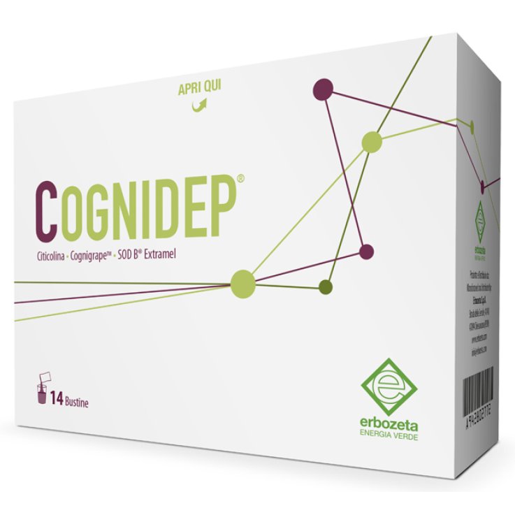 COGNIDEP 14 BUSTINE COGNIDEP 14 BUSTINE