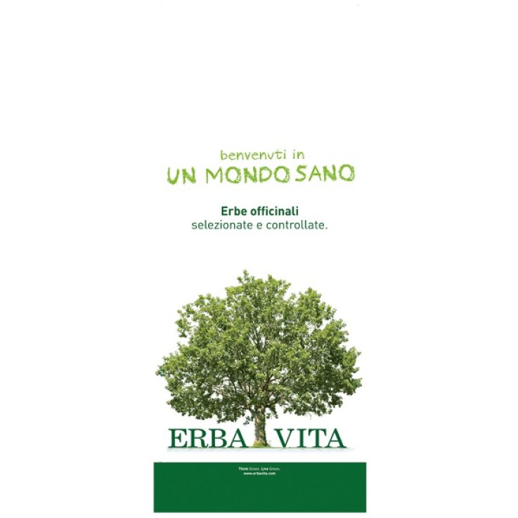 ARGILLA Verde S-Vent.300g EBV ARGILLA Verde S-Vent.300g EBV