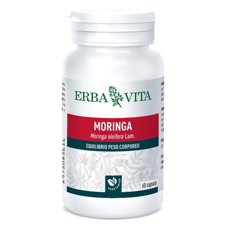 MORINGA 60CPS MORINGA 60CPS