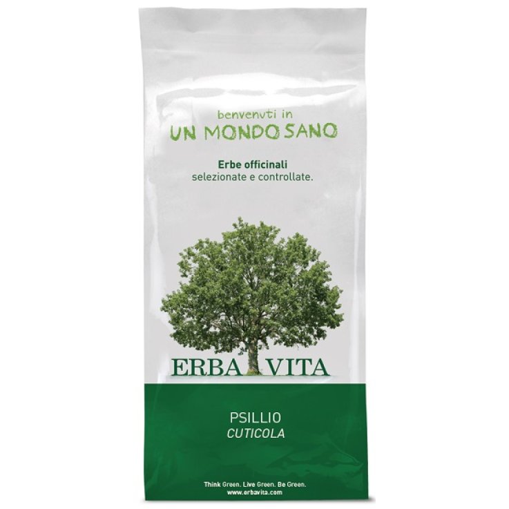 PSILLIO Cuticola Polv.100g EBV PSILLIO Cuticola Polv.100g EBV